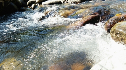 d0225156_13104679.jpg