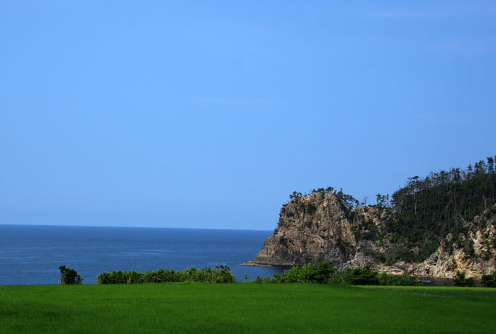 e0128863_23131958.jpg