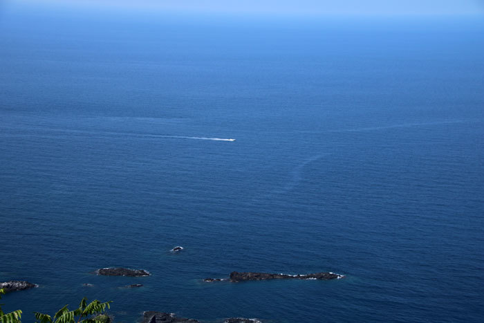 e0128863_23151402.jpg