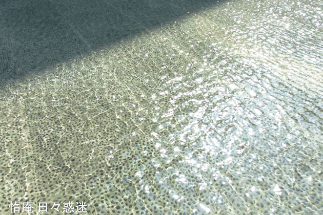 e0346064_20212158.gif
