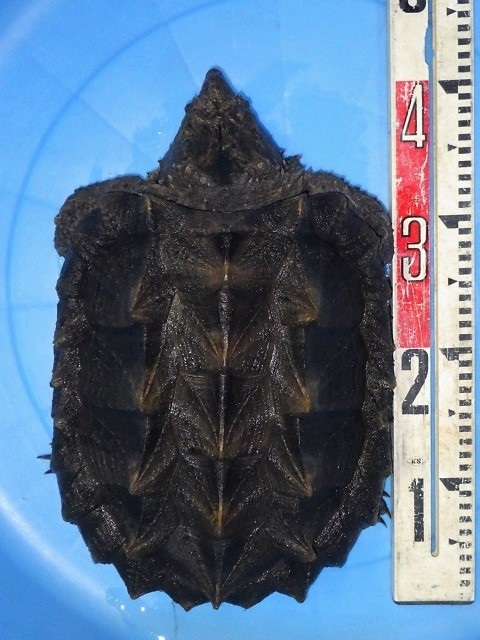 c0105569_01182103.jpg