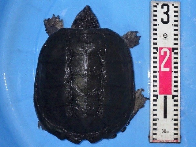 c0105569_01182903.jpg