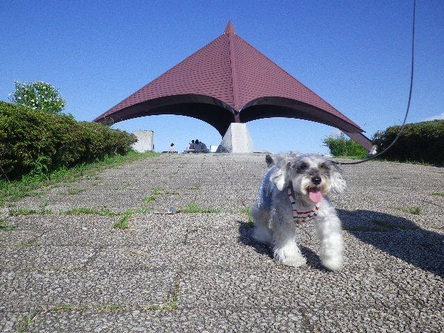 f0145575_21510052.jpg