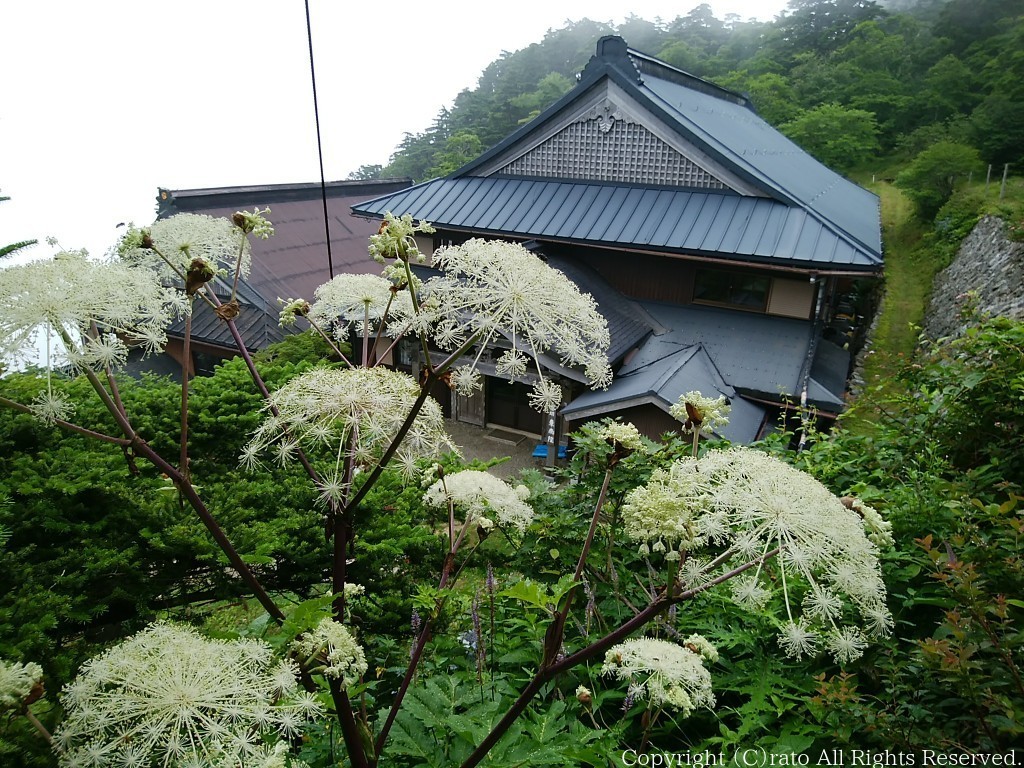 f0236776_15041519.jpg