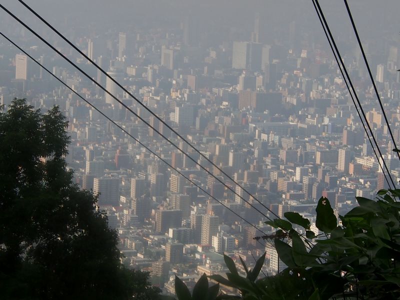 c0183777_76538.jpg