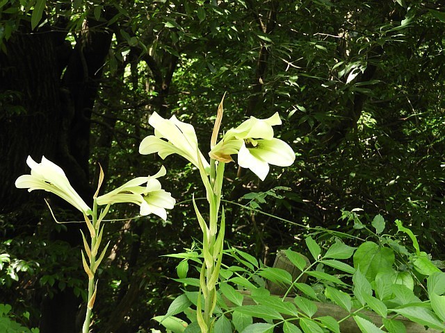 f0378979_23494721.jpg