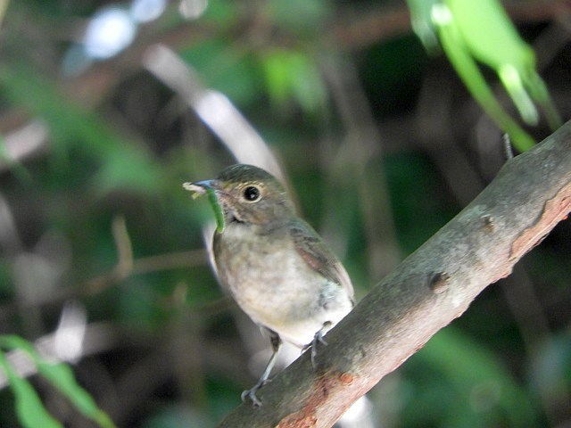 f0378979_23565713.jpg