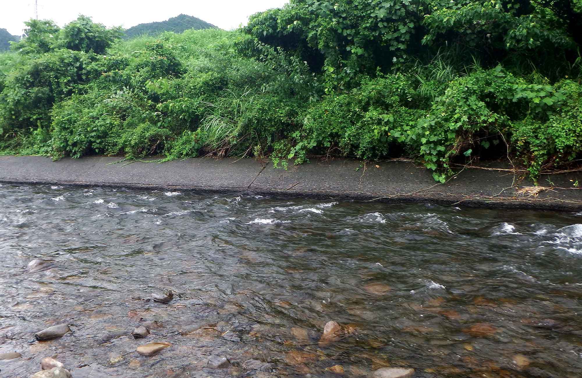c0176183_09100617.jpg