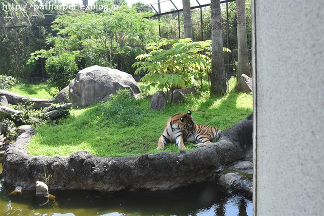a0052986_7382931.jpg