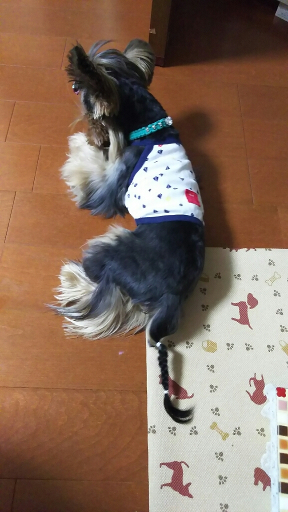 c0191390_22102808.jpg
