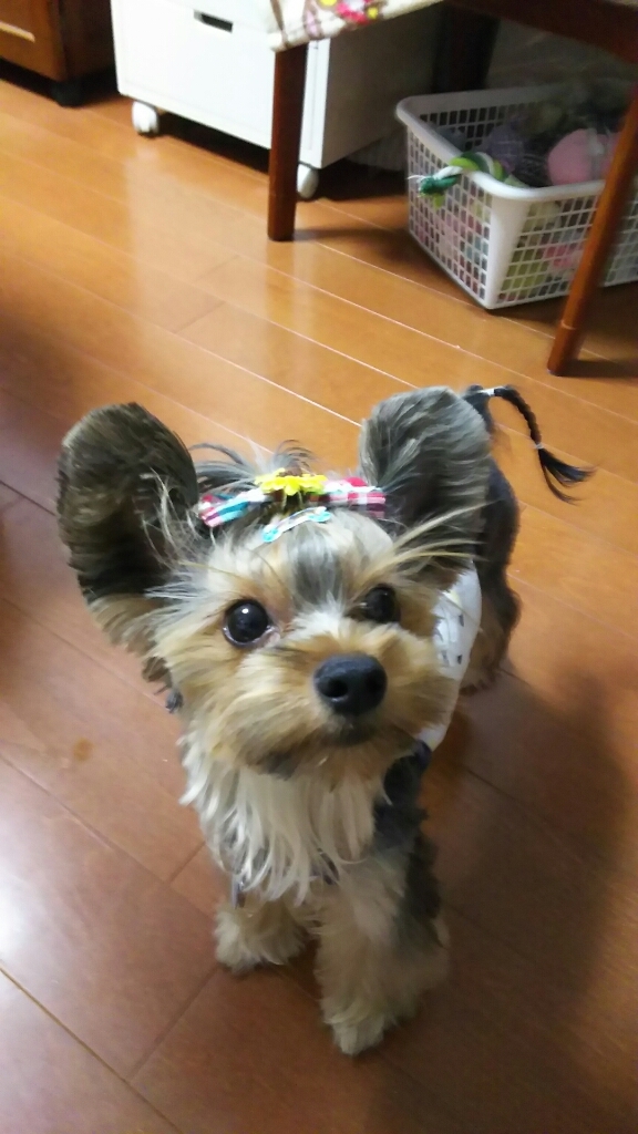 c0191390_22103188.jpg