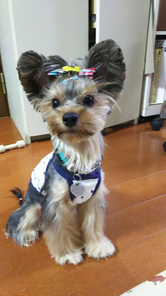 c0191390_22103289.jpg