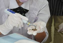 e0196791_11290568.jpg