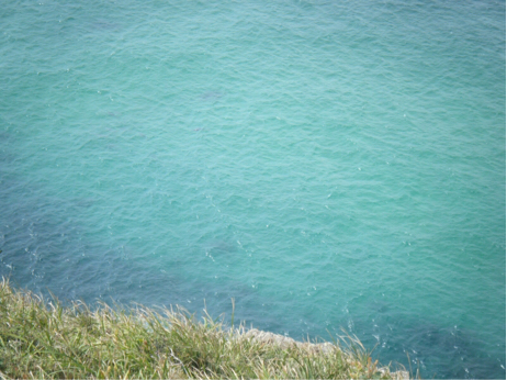 d0153895_09132741.jpg