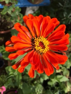e0181901_13301136.jpg