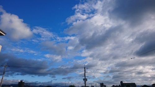 e0351303_17123130.jpg