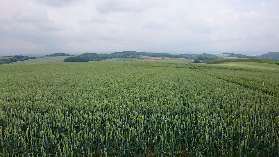 b0172805_20563295.jpg