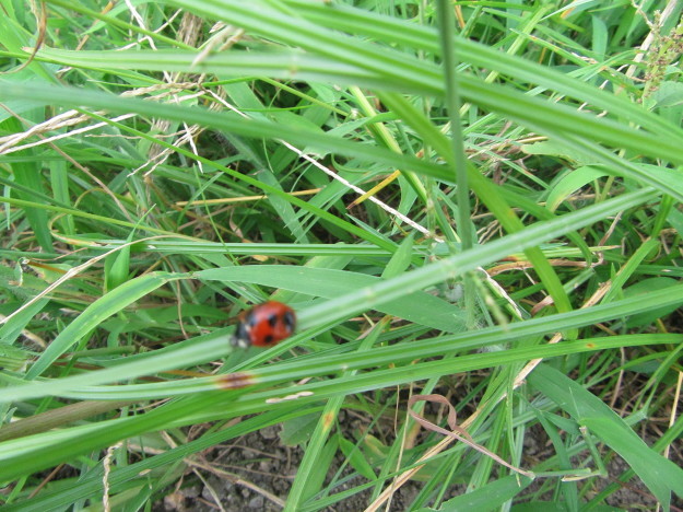 f0231709_22535963.jpg