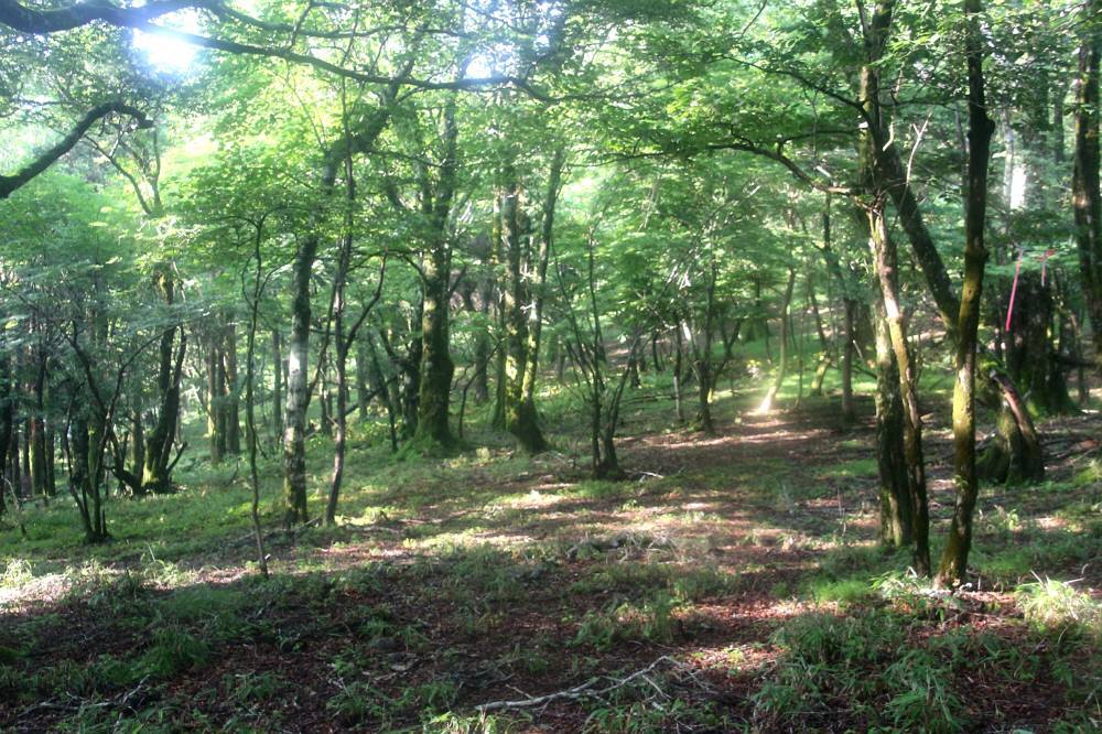 f0212511_19574528.jpg