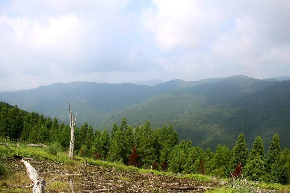 f0212511_20004757.jpg