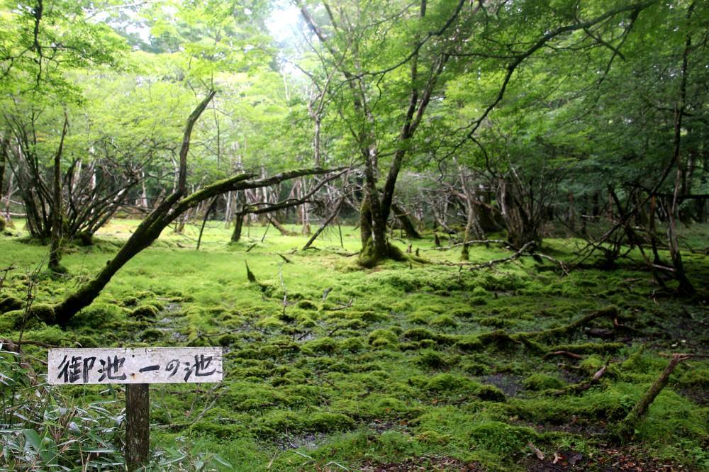 f0212511_20021764.jpg