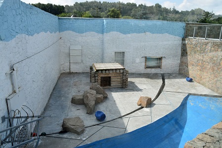 a0151913_247495.jpg
