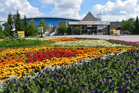 a0151913_6365870.jpg
