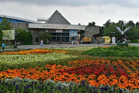 a0151913_6575178.jpg