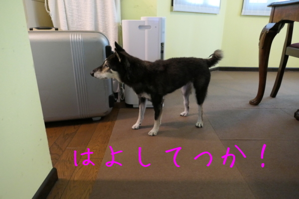 f0369014_12522298.jpg