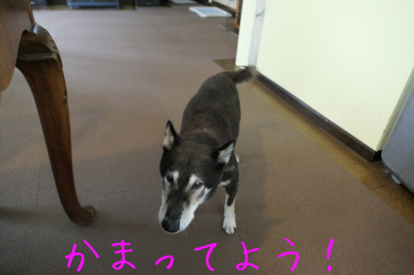 f0369014_13063983.jpg