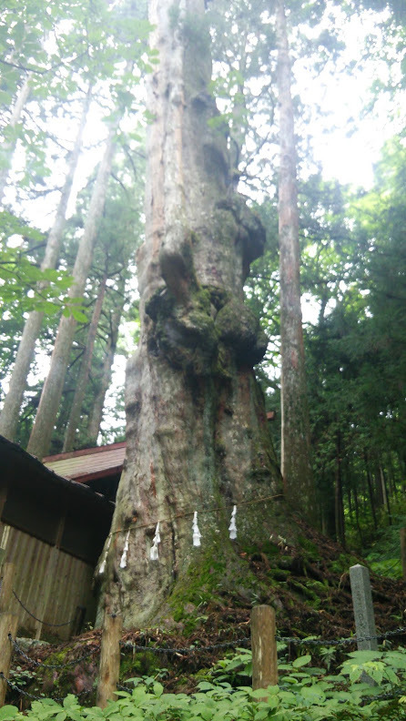 b0228416_21060475.jpg