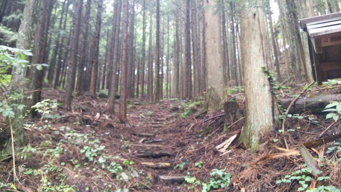 b0228416_21081817.jpg
