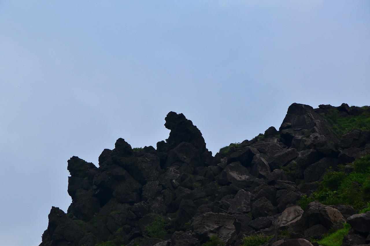 f0174419_11561023.jpg