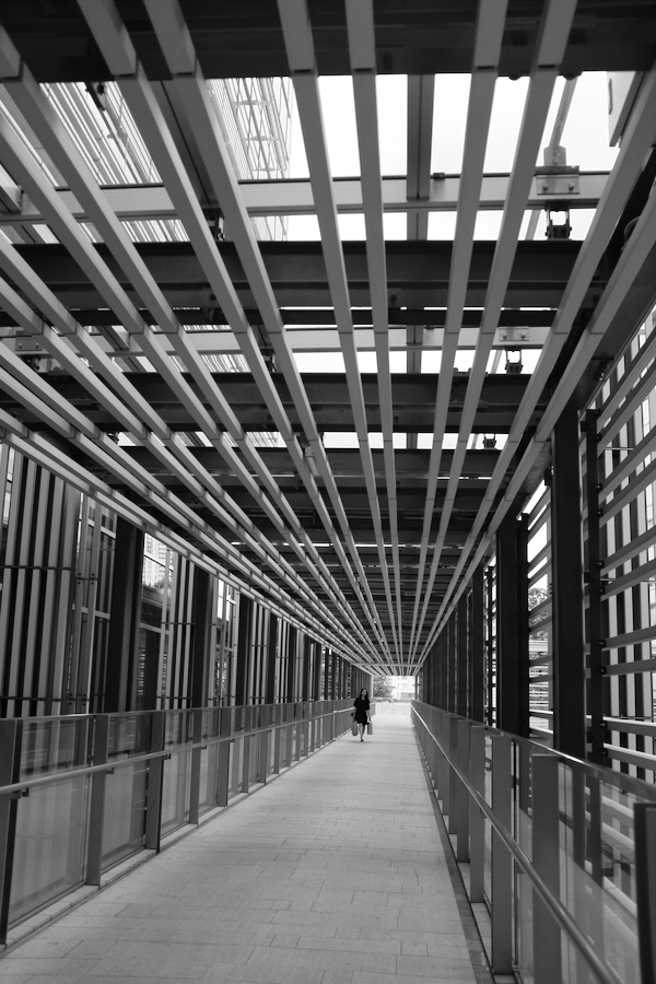 f0358531_20110575.jpg