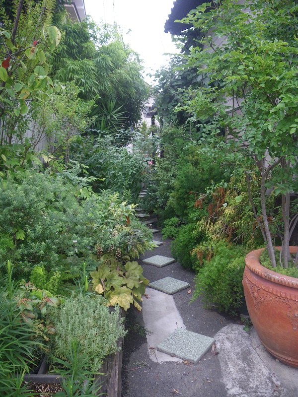 c0033636_22395213.jpg