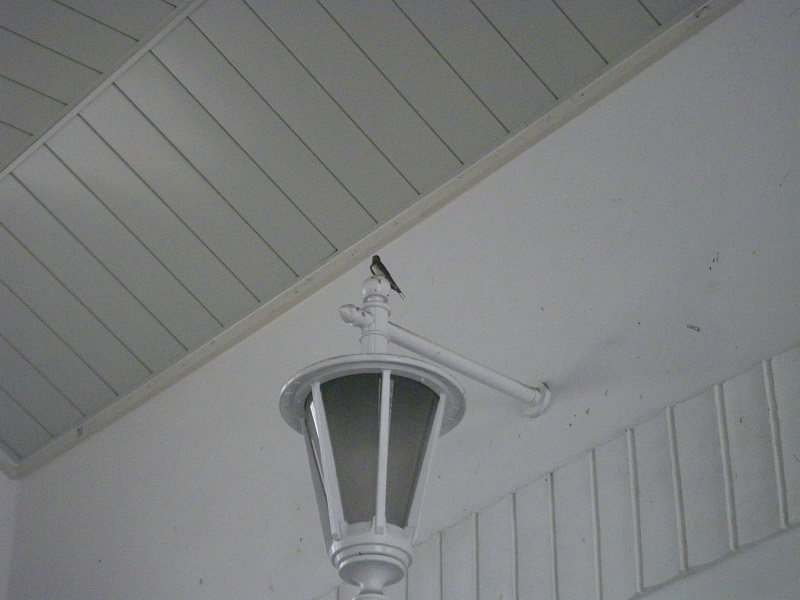 c0033636_2252845.jpg
