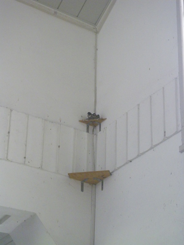 c0033636_2262643.jpg