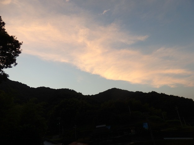 a0054240_20541043.jpg