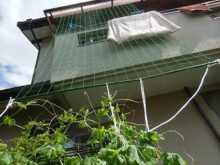 c0203348_12061232.jpg