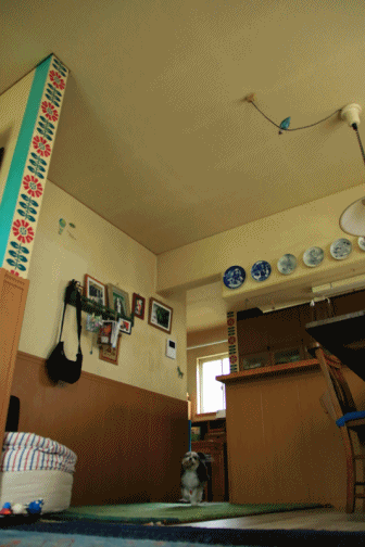 c0145250_10160536.gif