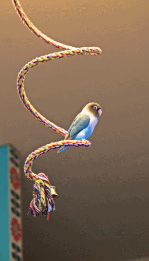 c0145250_10162006.gif