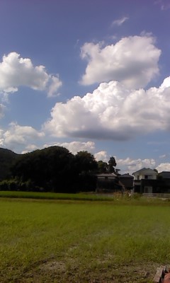 d0347652_18374567.jpg