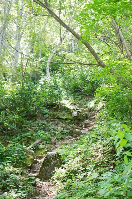 a0288155_17562908.jpg