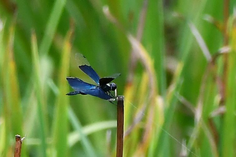 f0185755_16591141.jpg