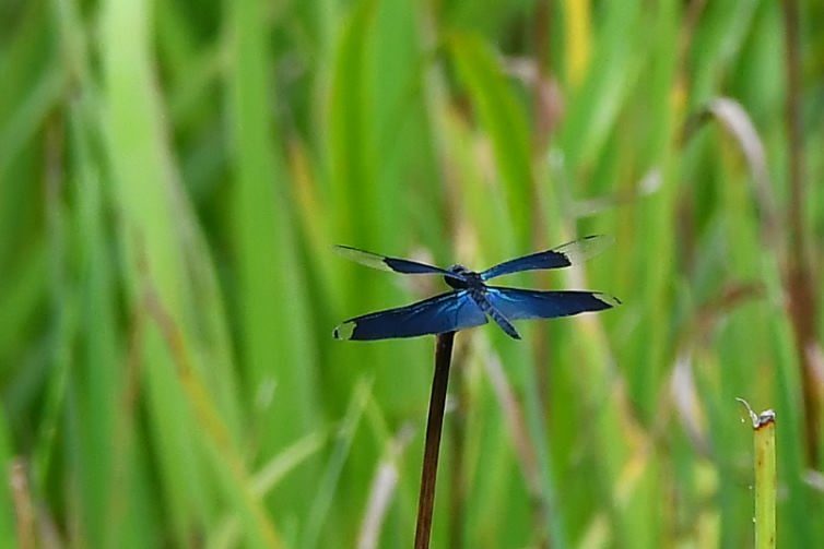 f0185755_17013796.jpg