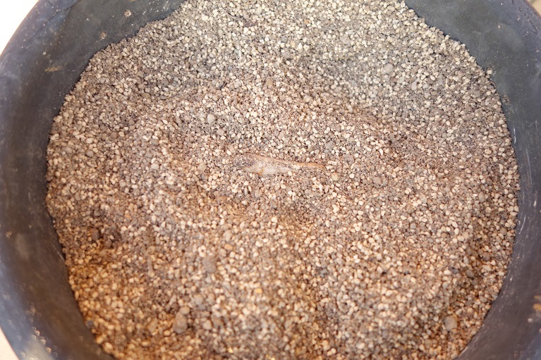 c0236857_20355235.jpg