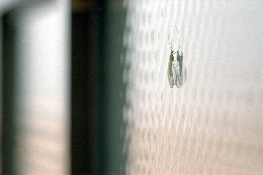 e0101258_23190946.jpg