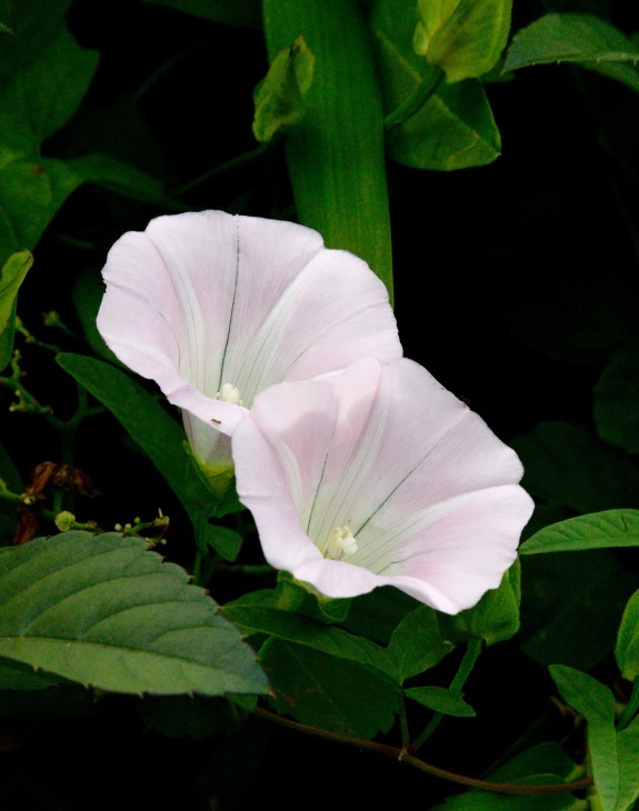 a0248459_15043540.jpg
