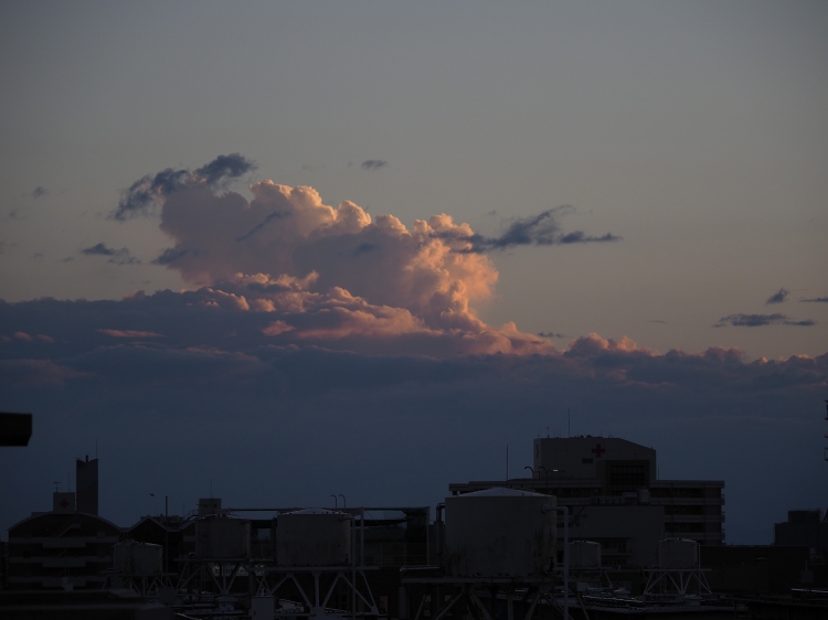 b0123359_20521593.jpg