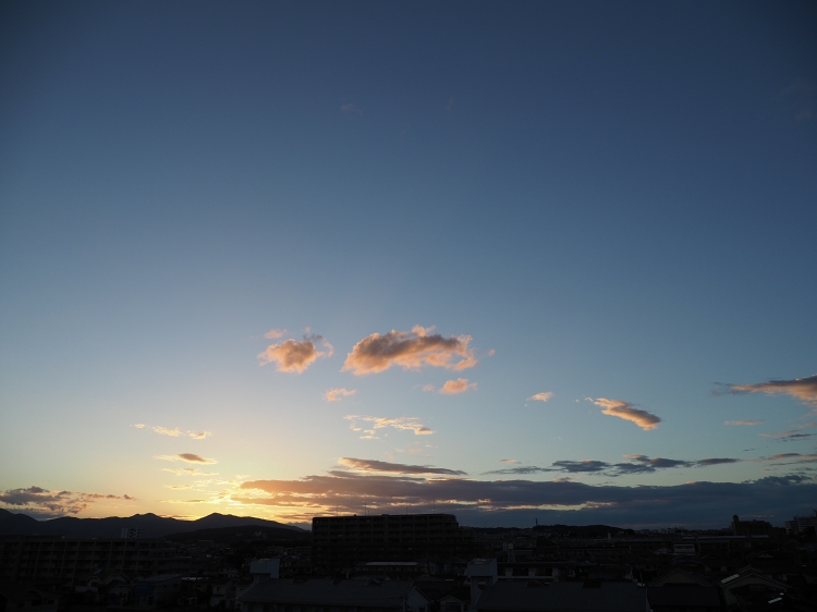 b0123359_2056094.jpg
